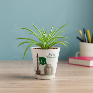 Green desk plant in white pot with Pakistan flag theme – perfect Azadi gift for Independence Day decor.