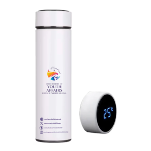 Smart Stainless Steel Temperature Display Bottle with Digital Cap