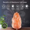 Natural Salt Lamp